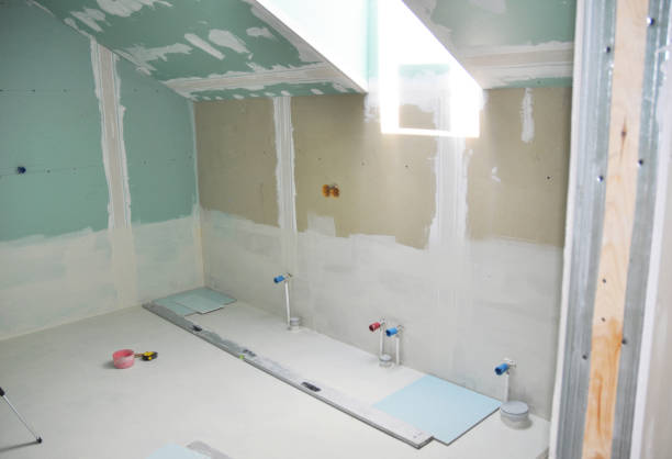 Best Mold Damage Restoration  in Haysville, KS