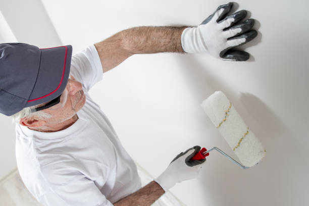 Best Air Quality Testing for Mold Spores  in Haysville, KS