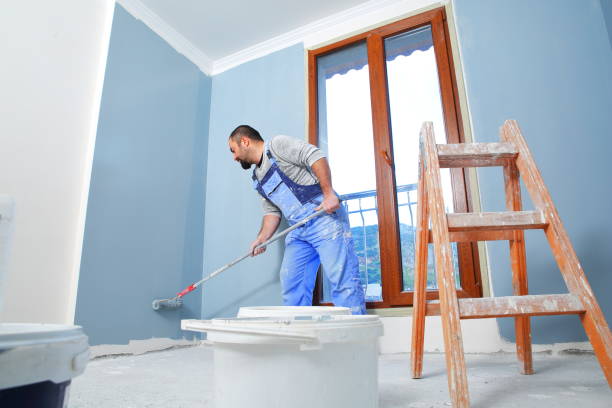 Best Real Estate Mold Inspection  in Haysville, KS