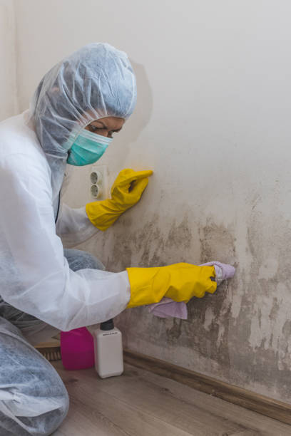 Best Comprehensive Air Testing for Mold Contaminants  in Haysville, KS