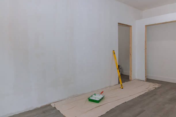 Best Asbestos and Lead Testing During Mold Inspection  in Haysville, KS