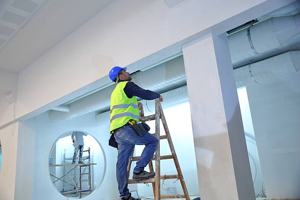 Best Mold Odor Removal Services  in Haysville, KS